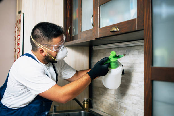 Best Commercial Pest Control Services  in Los Osos, CA