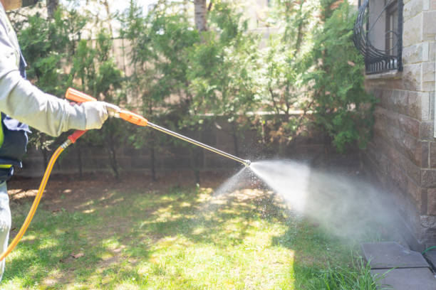  Los Osos, CA Pest Control Pros