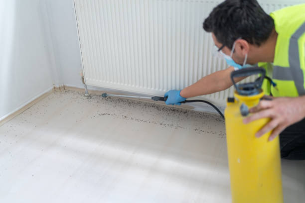 Best Bed Bug Extermination  in Los Osos, CA