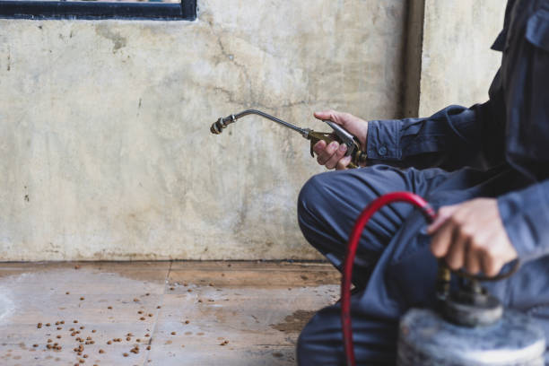 Best Mosquito Control Services  in Los Osos, CA